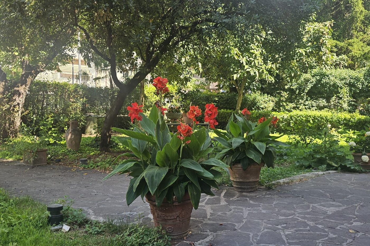 Il prato curato del B&B Luci
